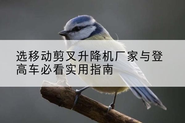 长治电动升降机厂家-选移动剪叉升降机厂家与登高车必看实用指南