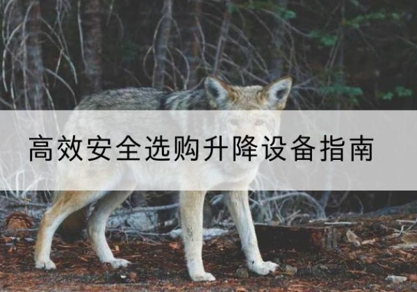 长治升降货梯厂家推荐-*安全选购升降设备指南